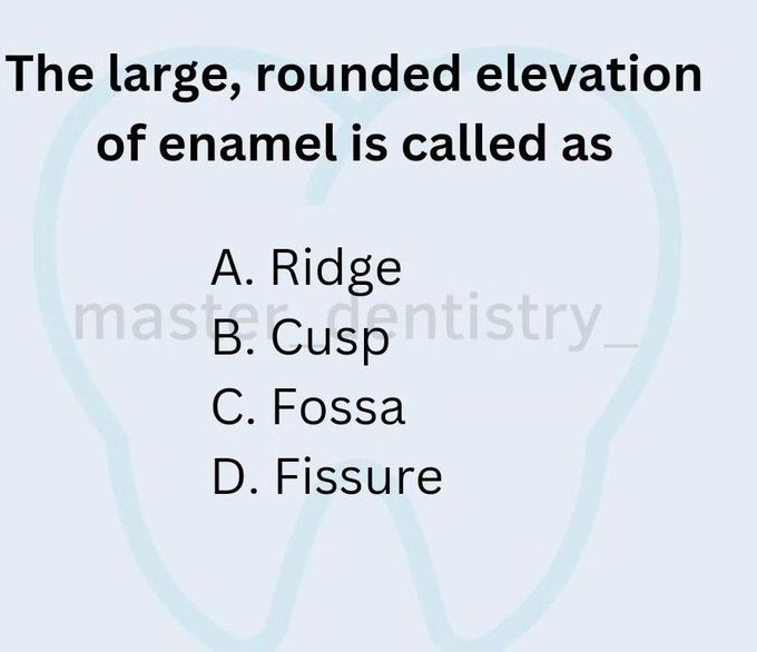 Identify the Terminology