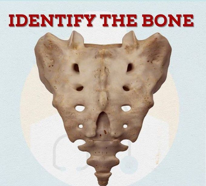 Identify?