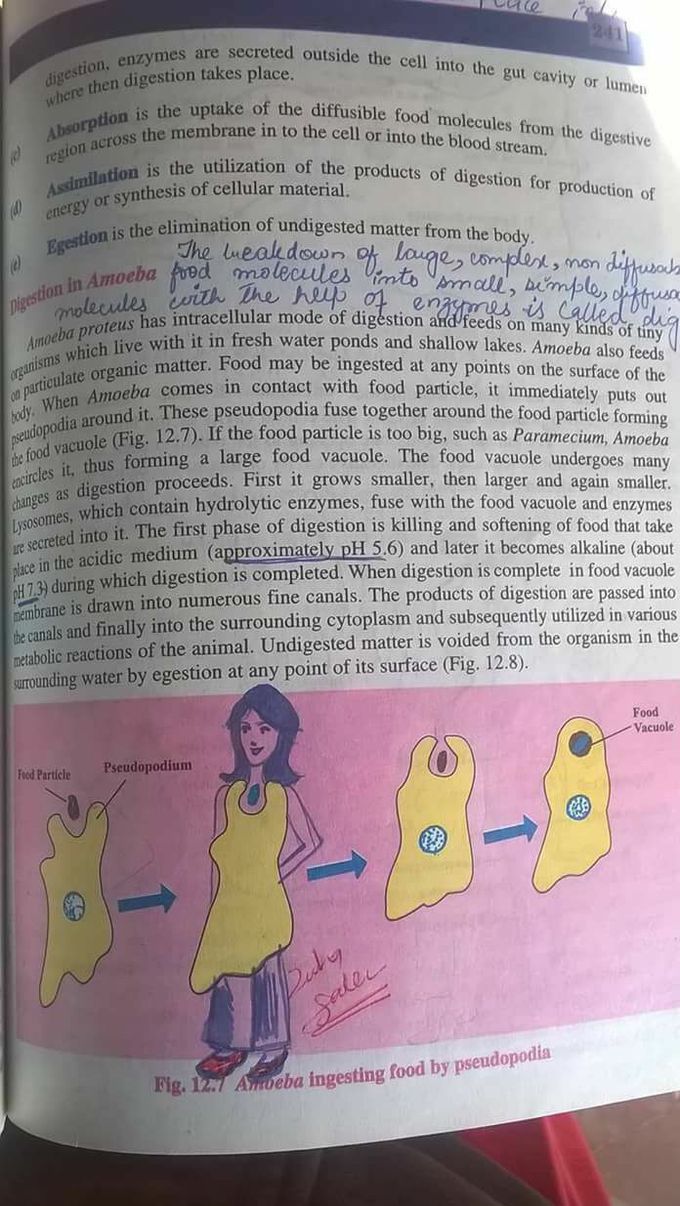 ART DURING LACTUR....