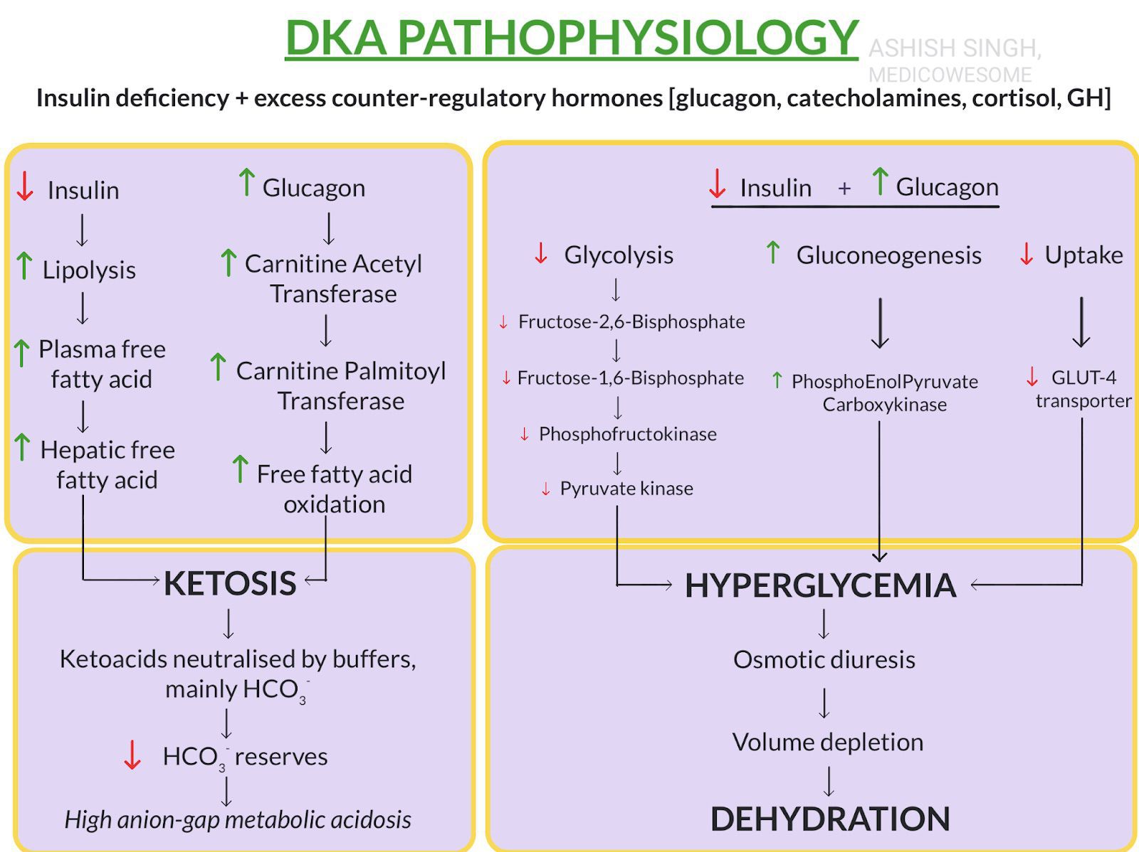 Diabetic Ketoacidosis (DKA) Stepwards, 50% OFF