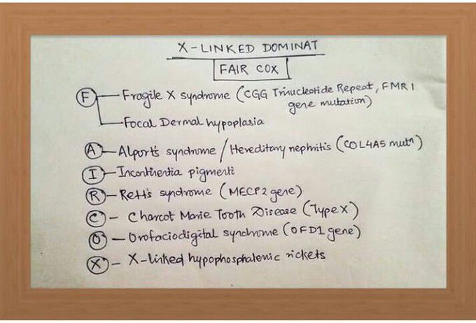 #genetics #x-linked dominant disorders
