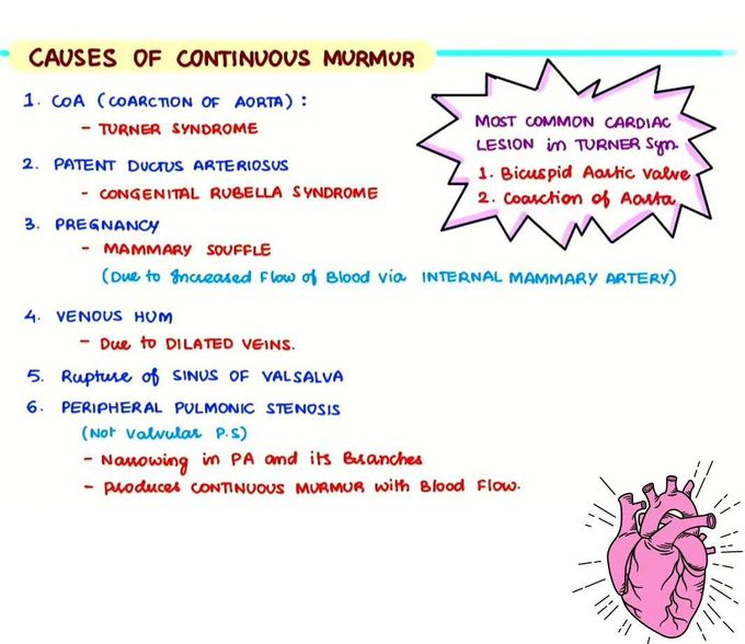 Continuous Murmur II