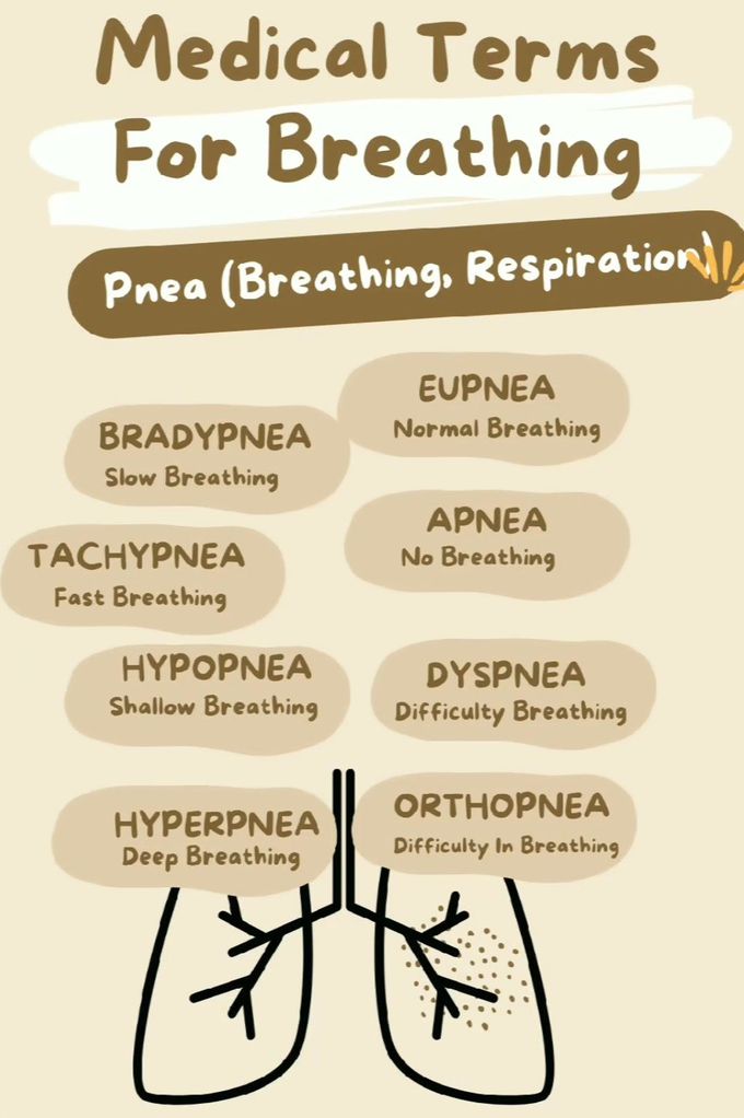 Breathing terminology