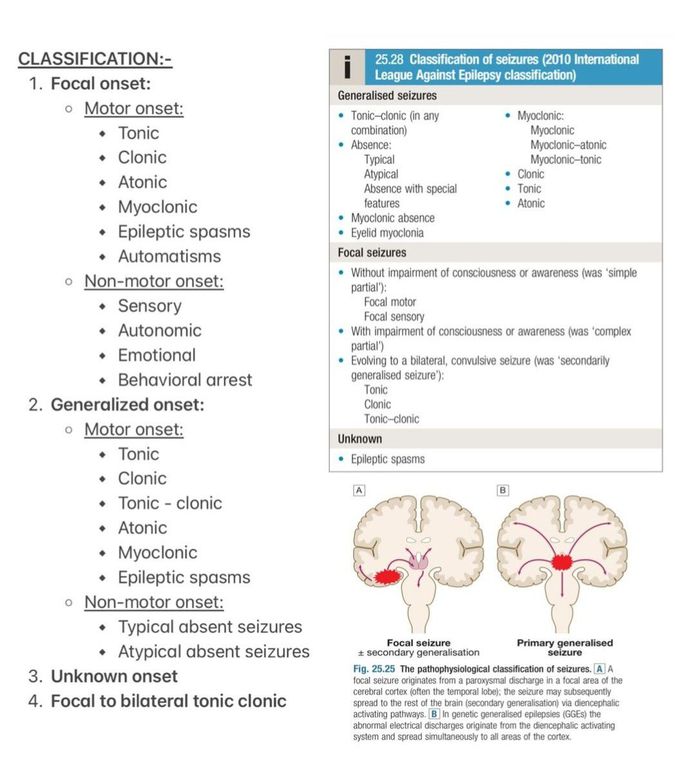 Seizures and Epilepsy II