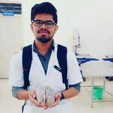 Pradeep
