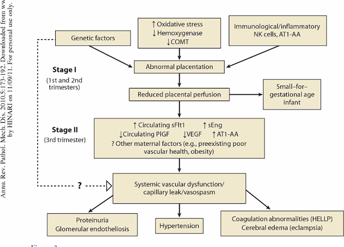 Pathogenesis of Pre-eclampsia
