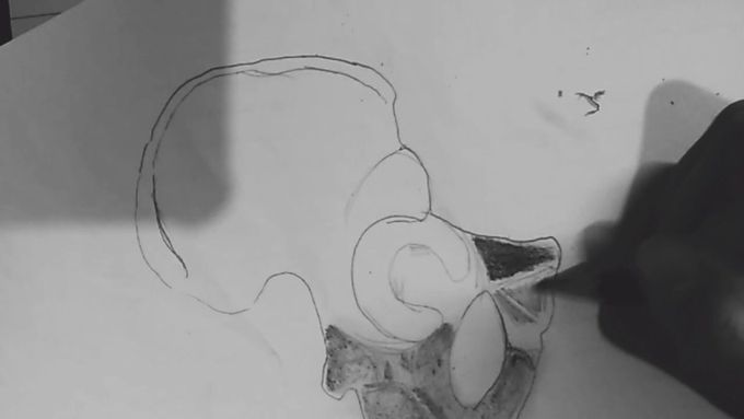 Right Hip Bone DRAWING STEPS💕