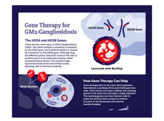 Treatment for Gangliosidosis GM1