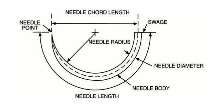 Needle