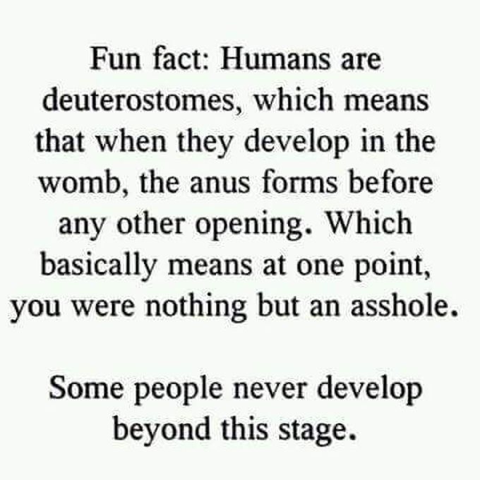 Deuterostomes