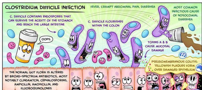 Treatment for Clostridioides difficile infection