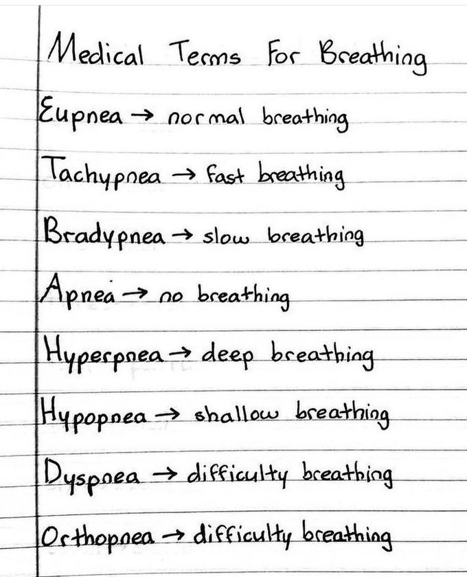 Medical Terms for Breathing