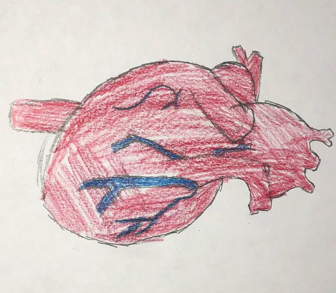 #drawing #freehanded