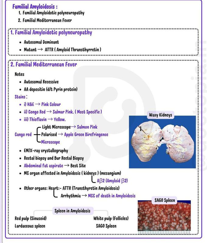 Amyloidosis IV