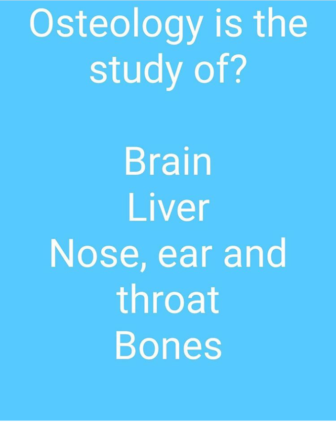 Bones