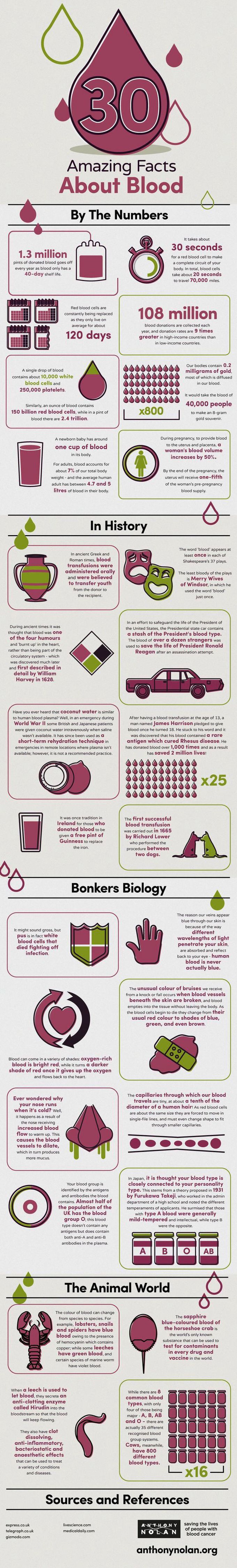 Amaizing Facts about Blood