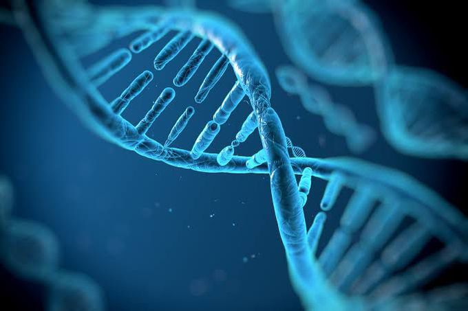 World DNA Day
