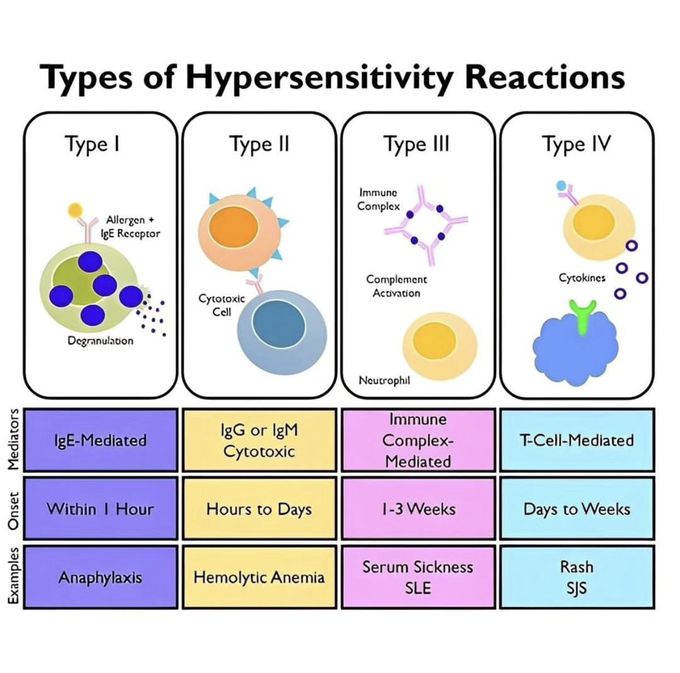 Types of hypersensitivity