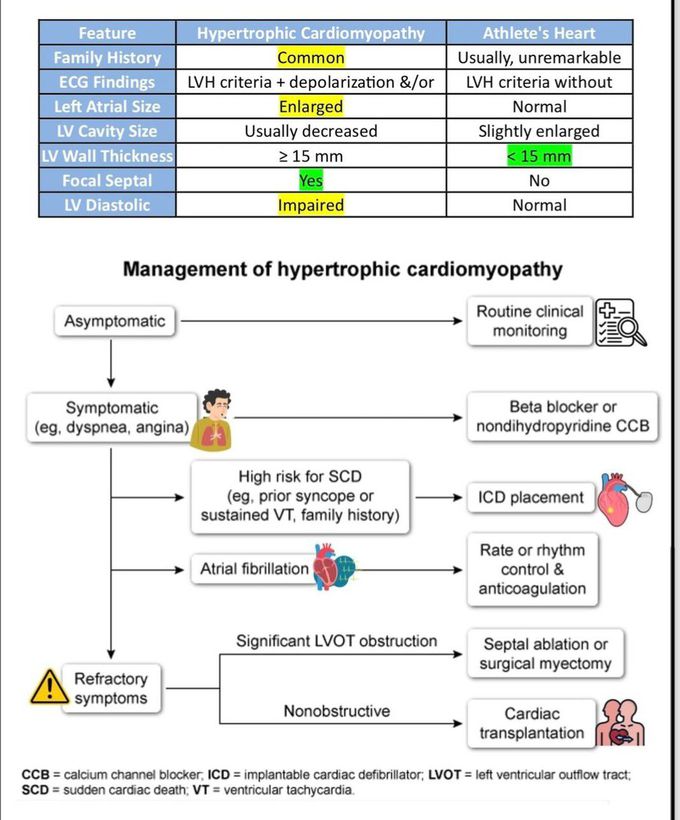 Hypertrophic Cardiomyopathy II