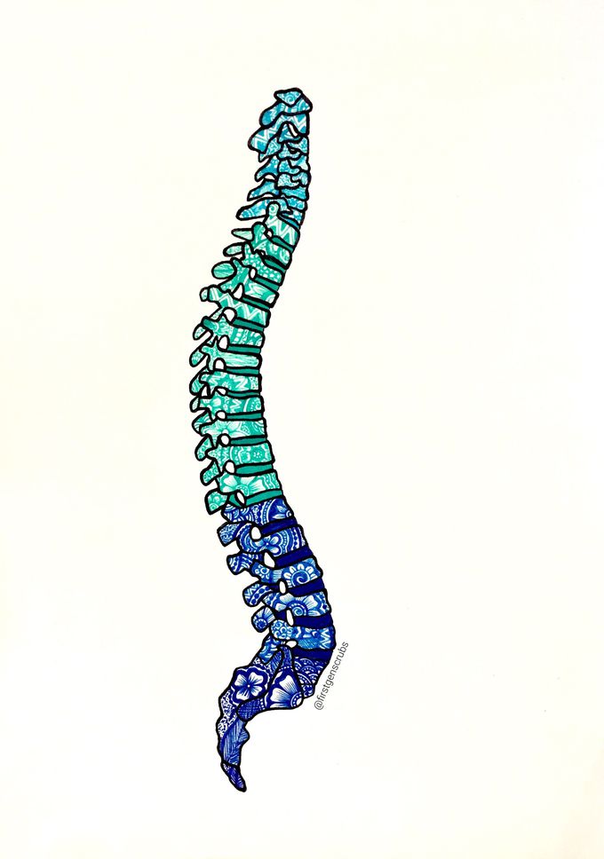 Spine!