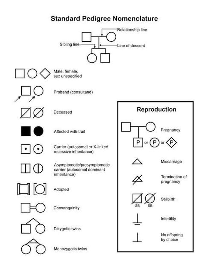 Standard Pedigree Nomenclature