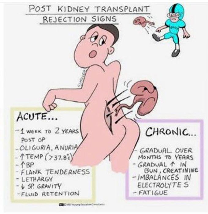 POST KIDNEY TRANSPLANTATION REJECTION SIGNS