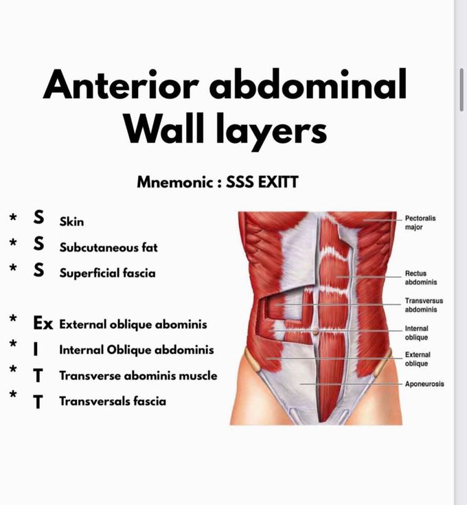 Layers of the abdominal wall- Mnemonic