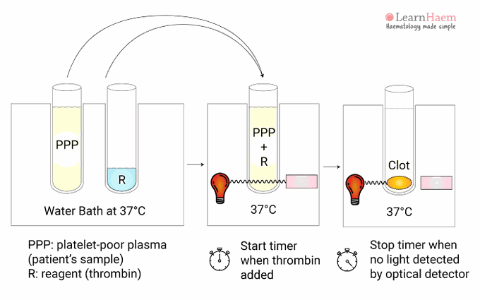 Thrombin time