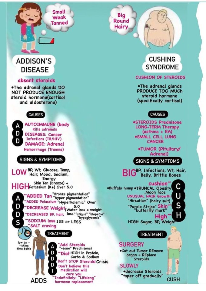 Addison's Disease Vs Cushing Syndrome