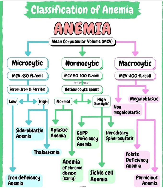 Anemia