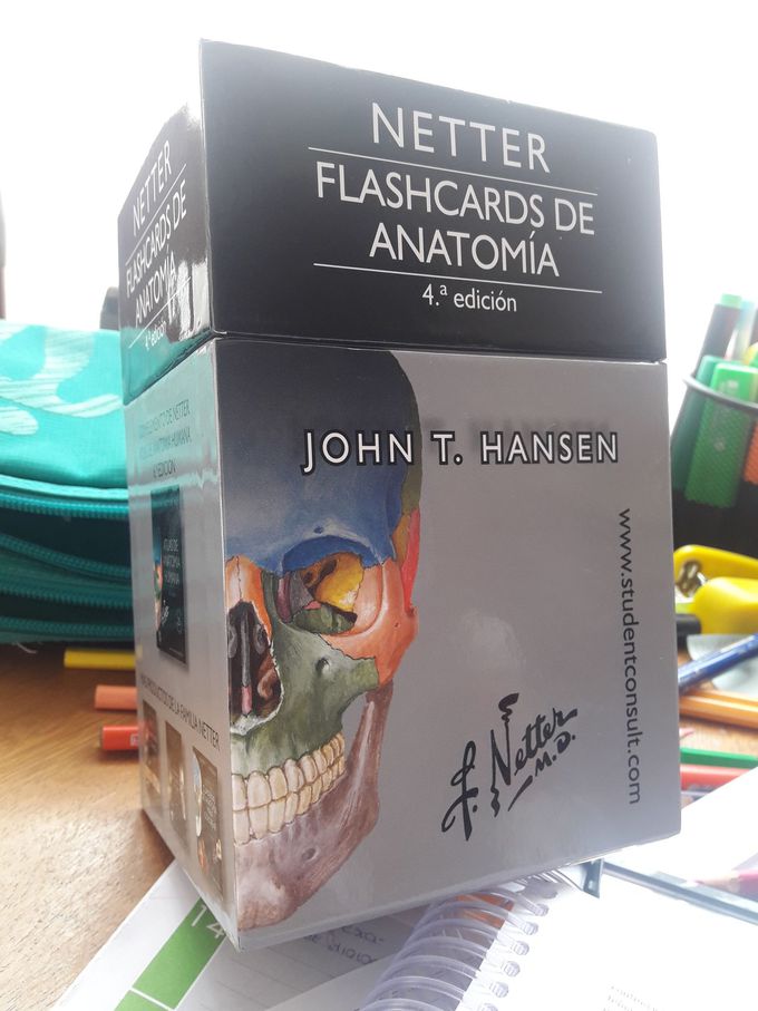 Flashcards Netter