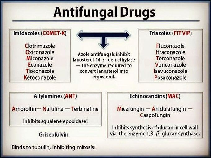 Antifungal Drugs