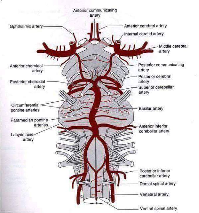 Can you name the structure?
