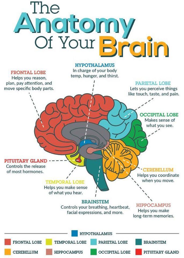 Brain - MEDizzy