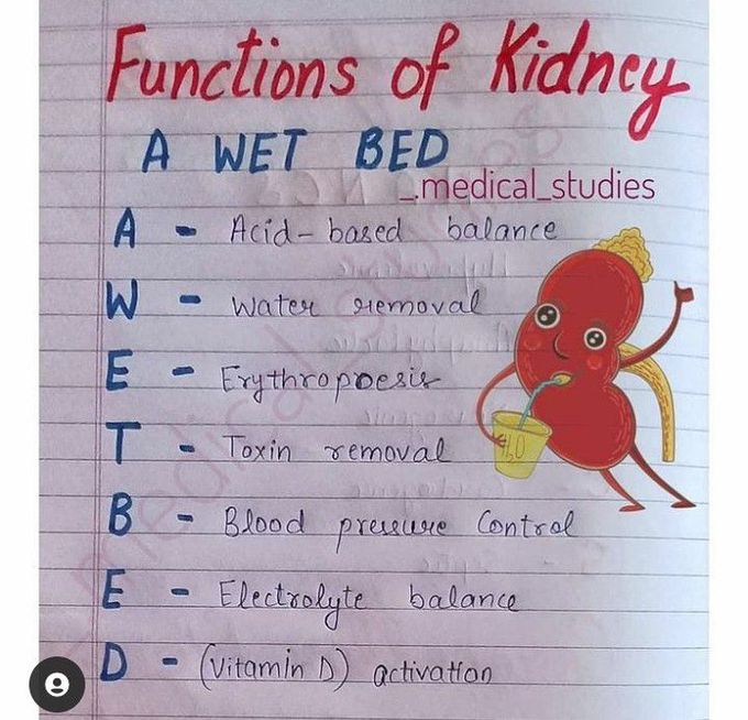 Kidney functions