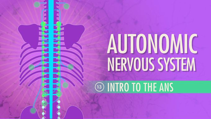 Autonomic Nervous System-Introduction