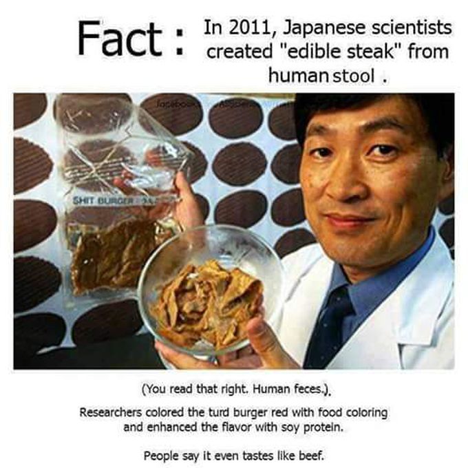 Dafuq did I just read?