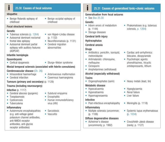 Seizures and Epilepsy IV