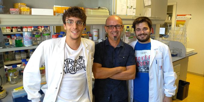 Molecule capable of halting and reverting neurodegeneration caused by Parkinson's disease identified