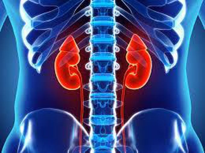 Treatment for diabetic nephropathy