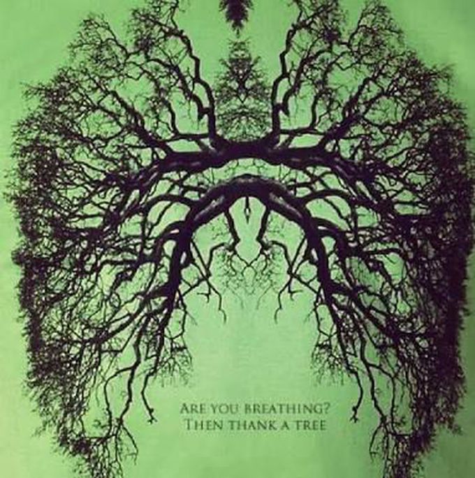 The tree that we carry and carries us ➡️your lungs