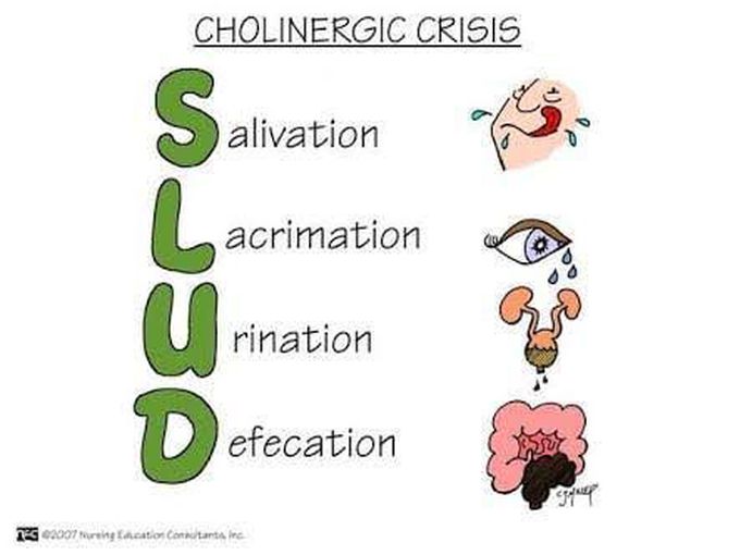 Cholinerguc crisis