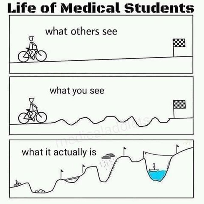Life of medicine