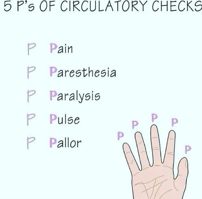 5 P's of circulatory check