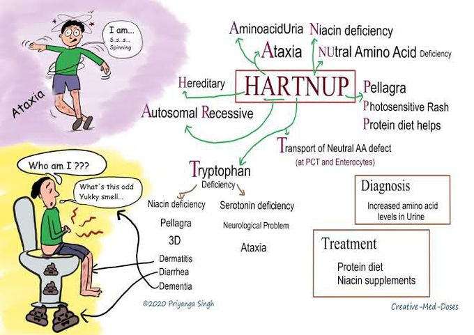 Hartnup Disease