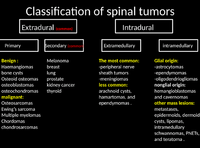 classification-of-spinal-tumors-medizzy