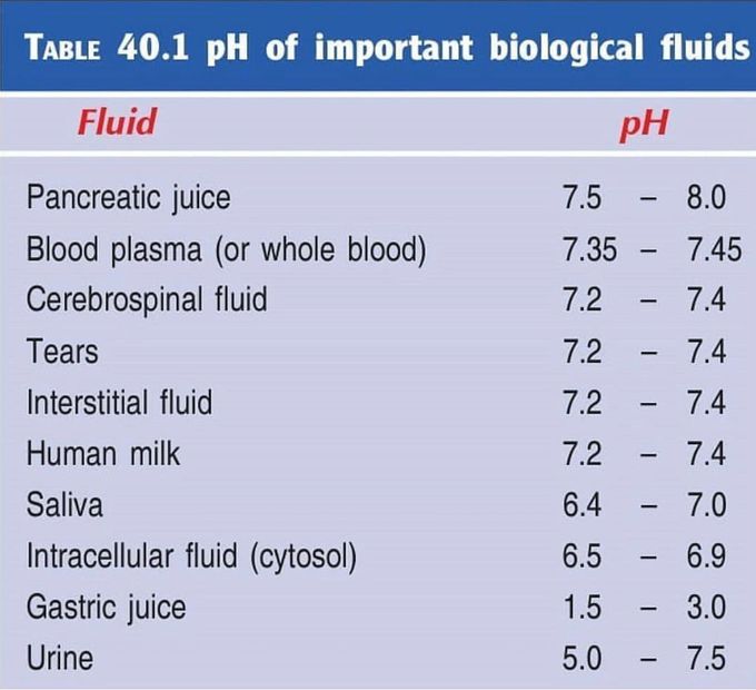 PH meter