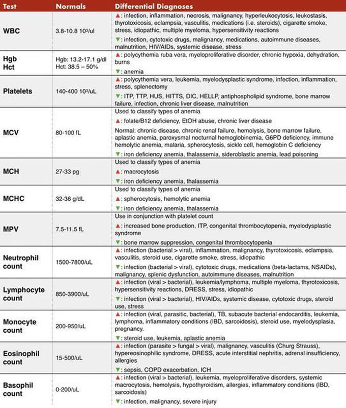 Complete Blood Count (CBC)