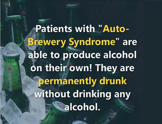 Autobrewery_syndrome🍾