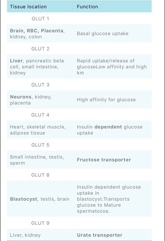 Glucose transporters